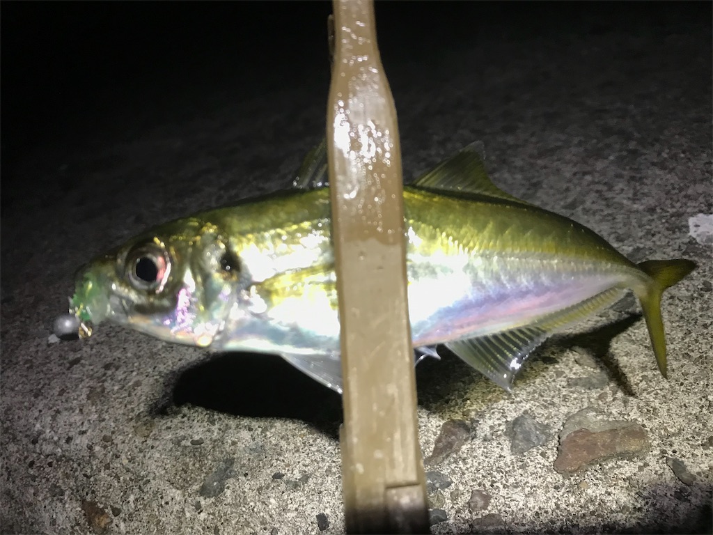 f:id:esojima3:20191111212954j:image