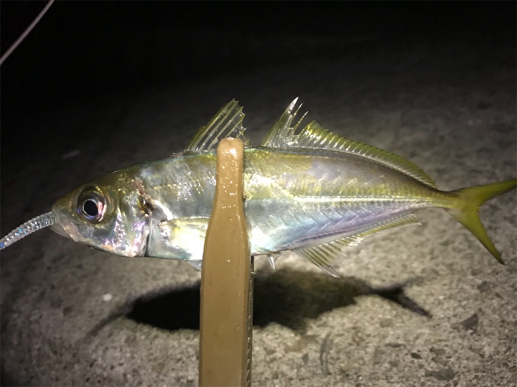 f:id:esojima3:20191111213000j:image