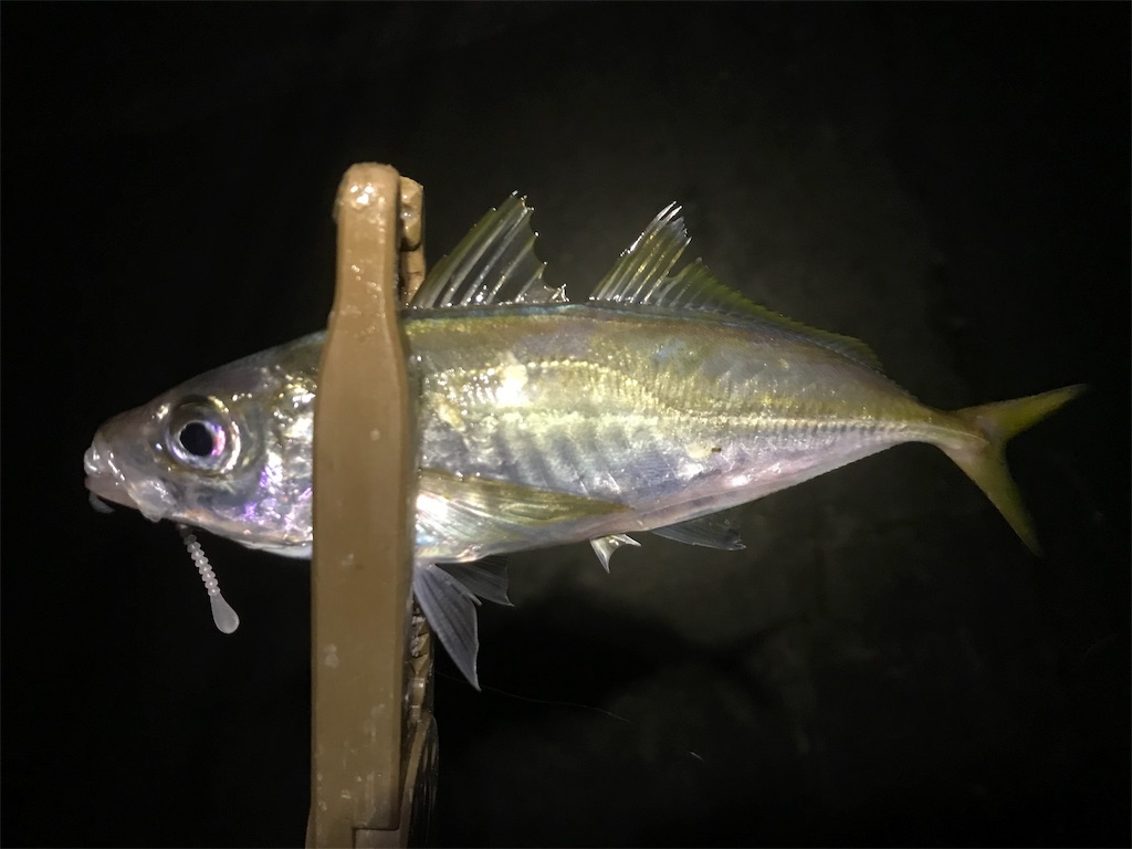f:id:esojima3:20191112233120j:image