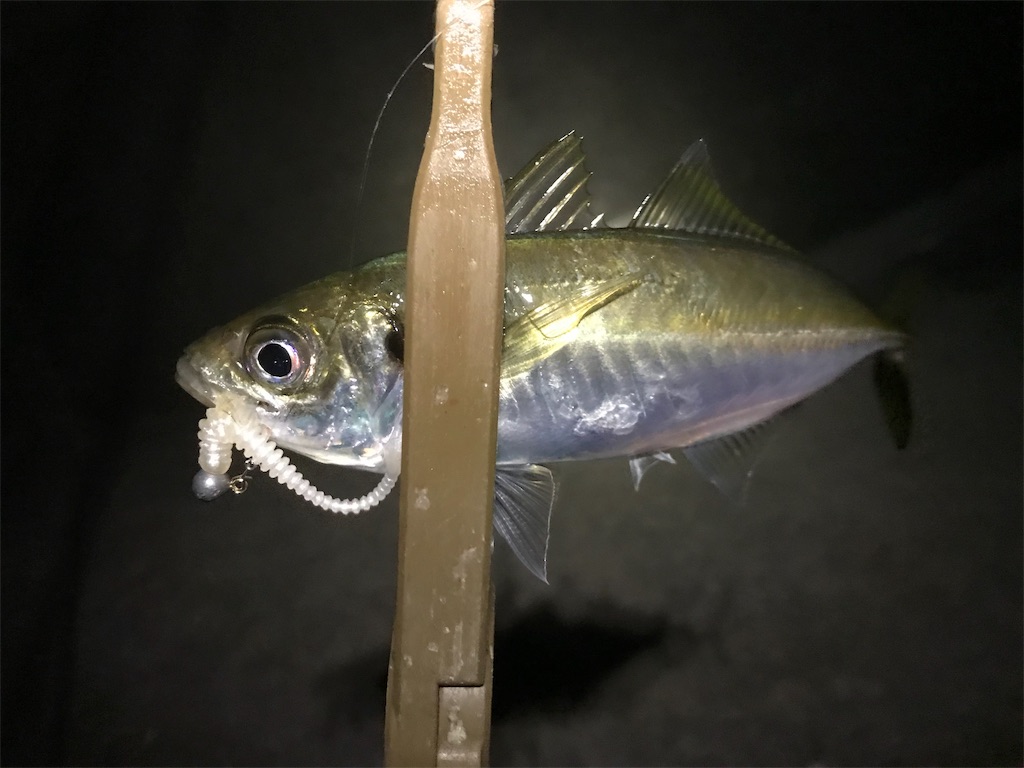 f:id:esojima3:20191112233916j:image