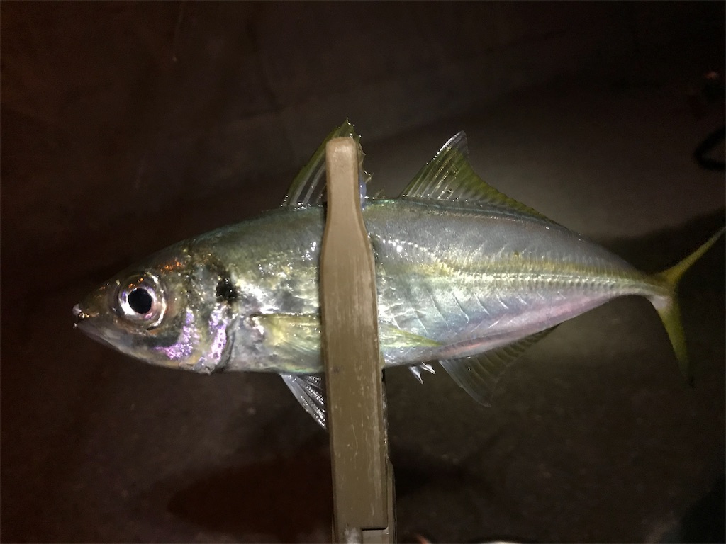 f:id:esojima3:20191116121412j:image