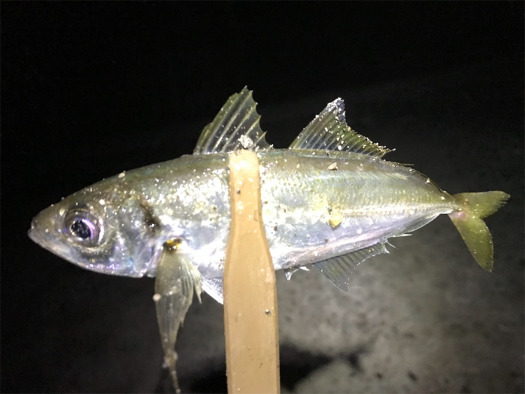 f:id:esojima3:20191117232341j:image