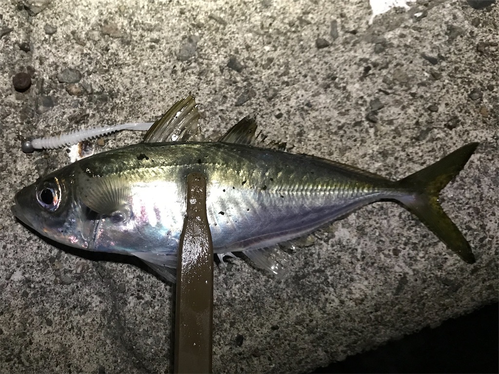 f:id:esojima3:20191117232752j:image