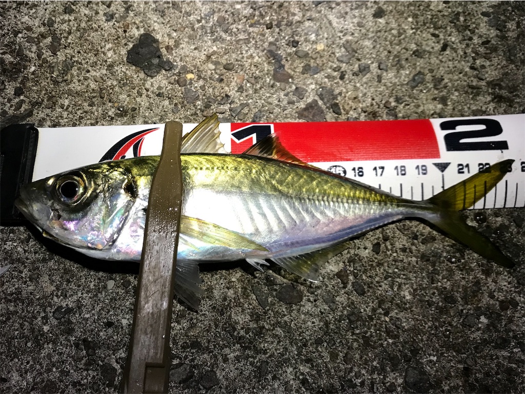 f:id:esojima3:20191117232946j:image