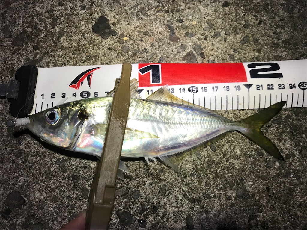 f:id:esojima3:20191117232950j:image