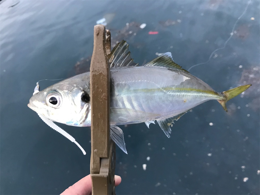 f:id:esojima3:20191125214023j:image