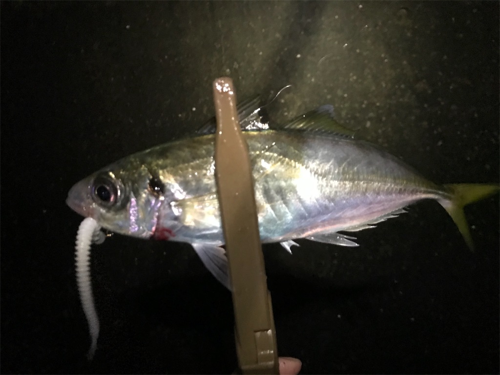 f:id:esojima3:20191125214509j:image