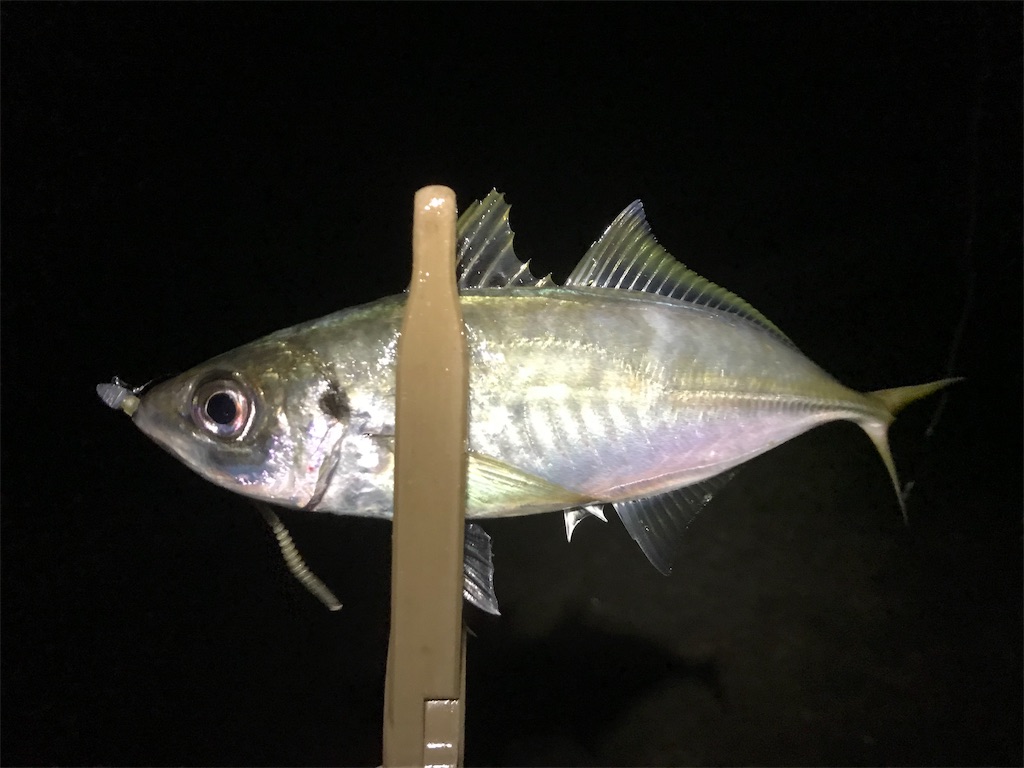 f:id:esojima3:20191125214627j:image