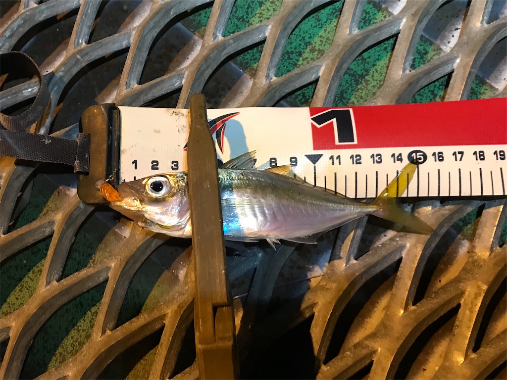 f:id:esojima3:20191128232024j:image