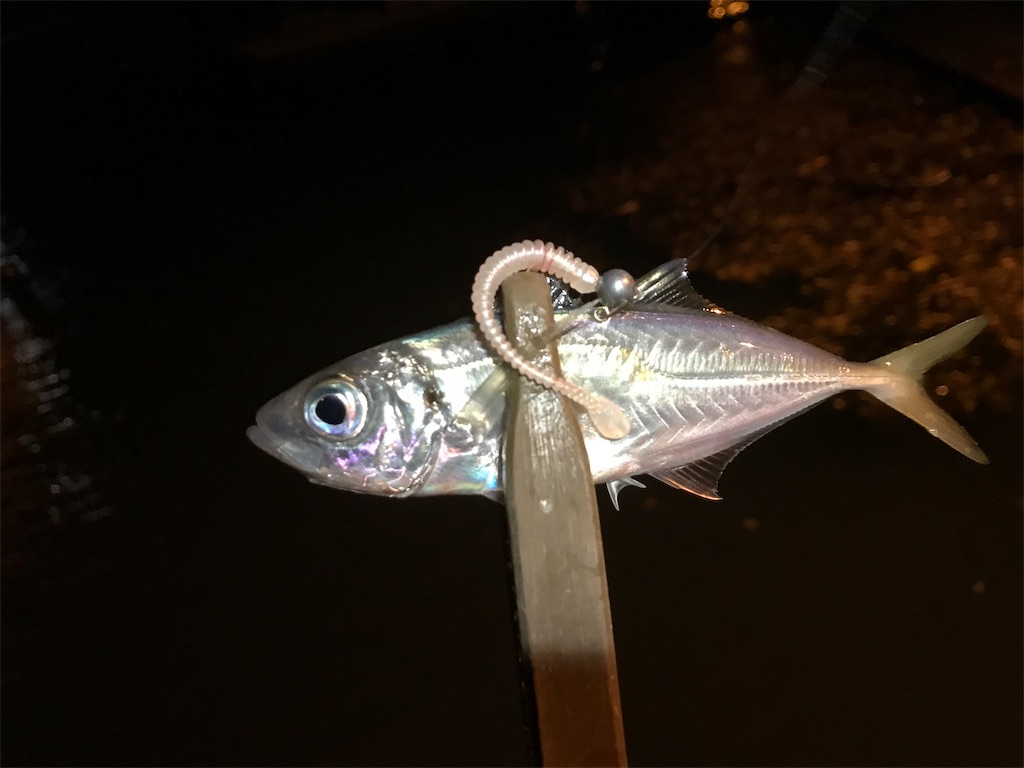 f:id:esojima3:20191128232124j:image