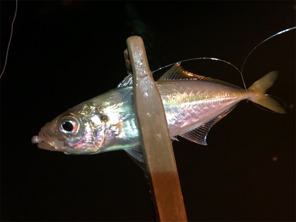 f:id:esojima3:20191128232129j:image