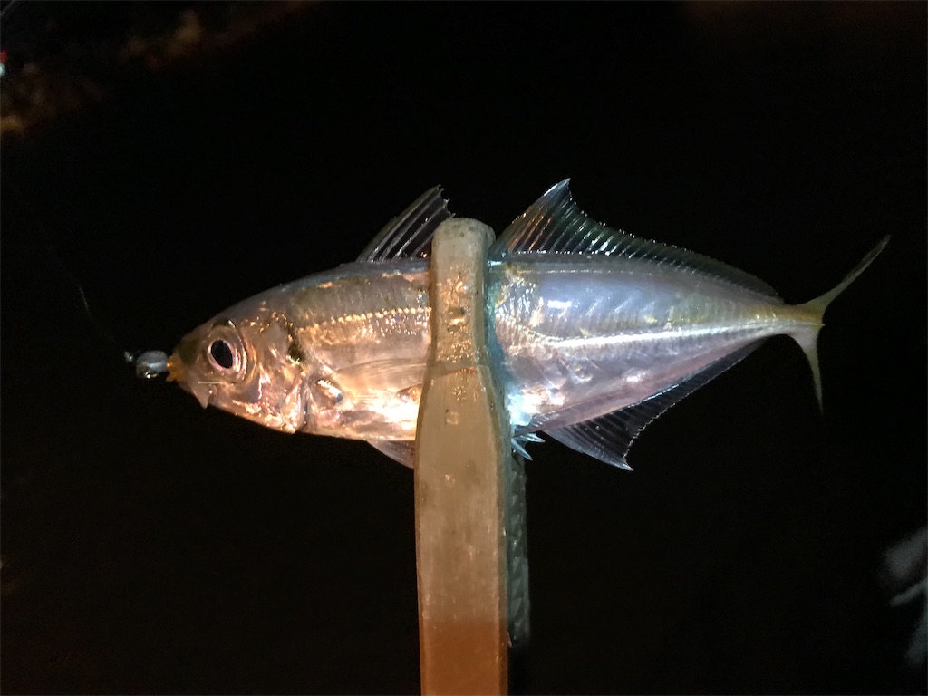 f:id:esojima3:20191128232132j:image