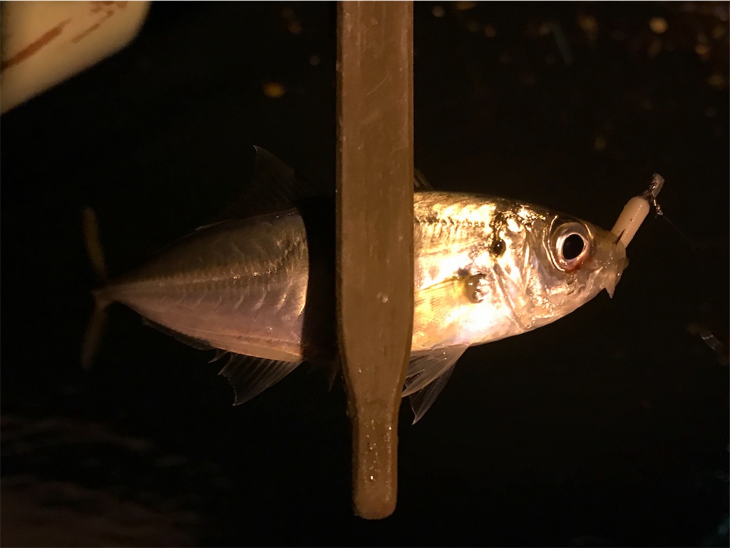 f:id:esojima3:20191129063841j:image