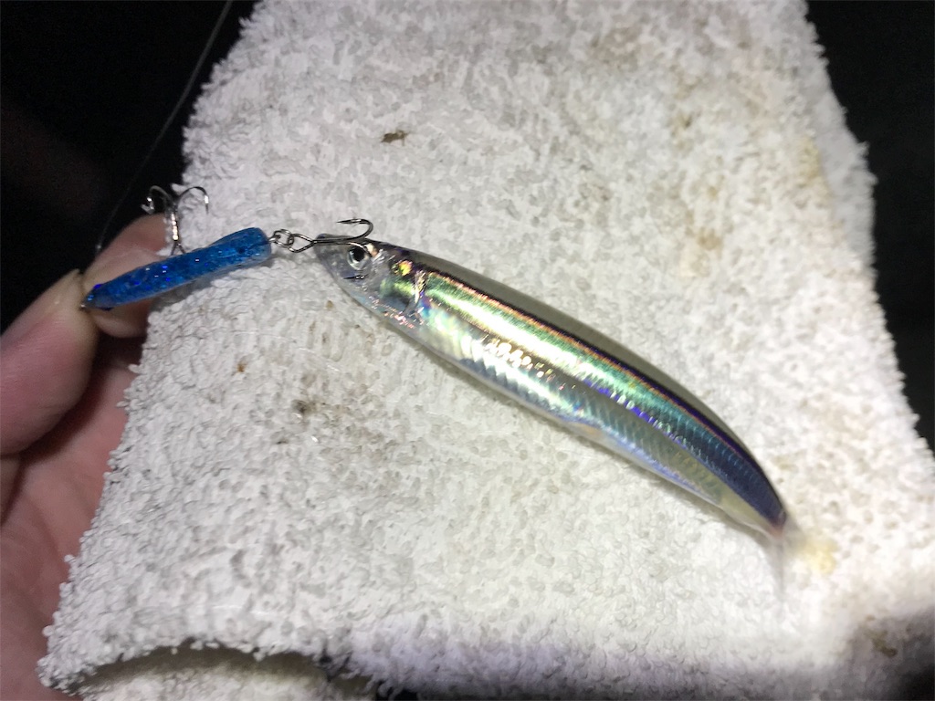 f:id:esojima3:20191130025026j:image