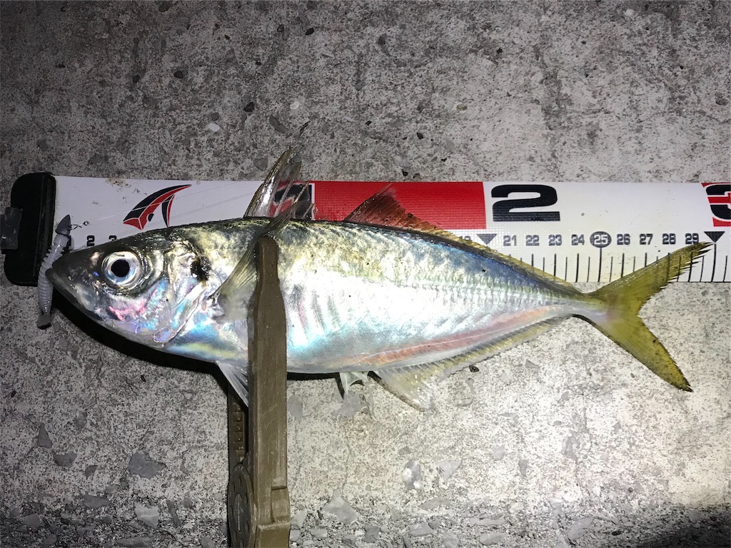 f:id:esojima3:20191130072301j:image