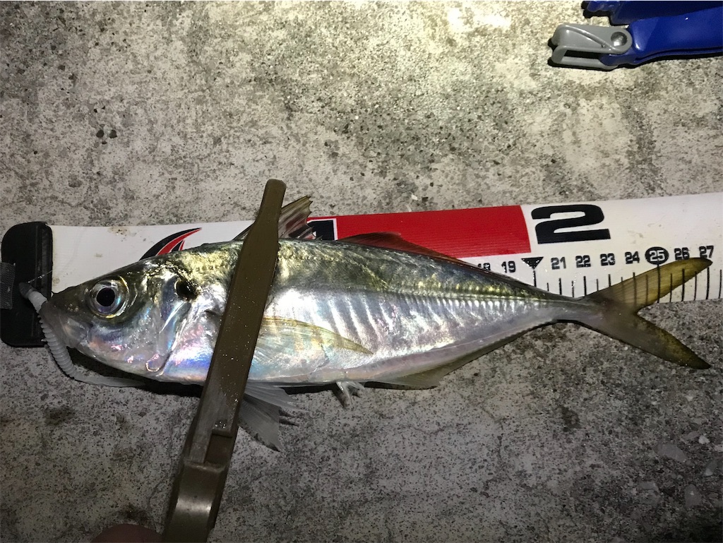 f:id:esojima3:20191130072449j:image