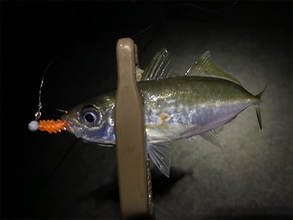f:id:esojima3:20191201011553j:image