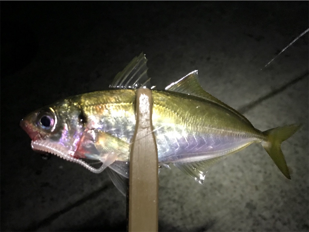 f:id:esojima3:20191201011608j:image