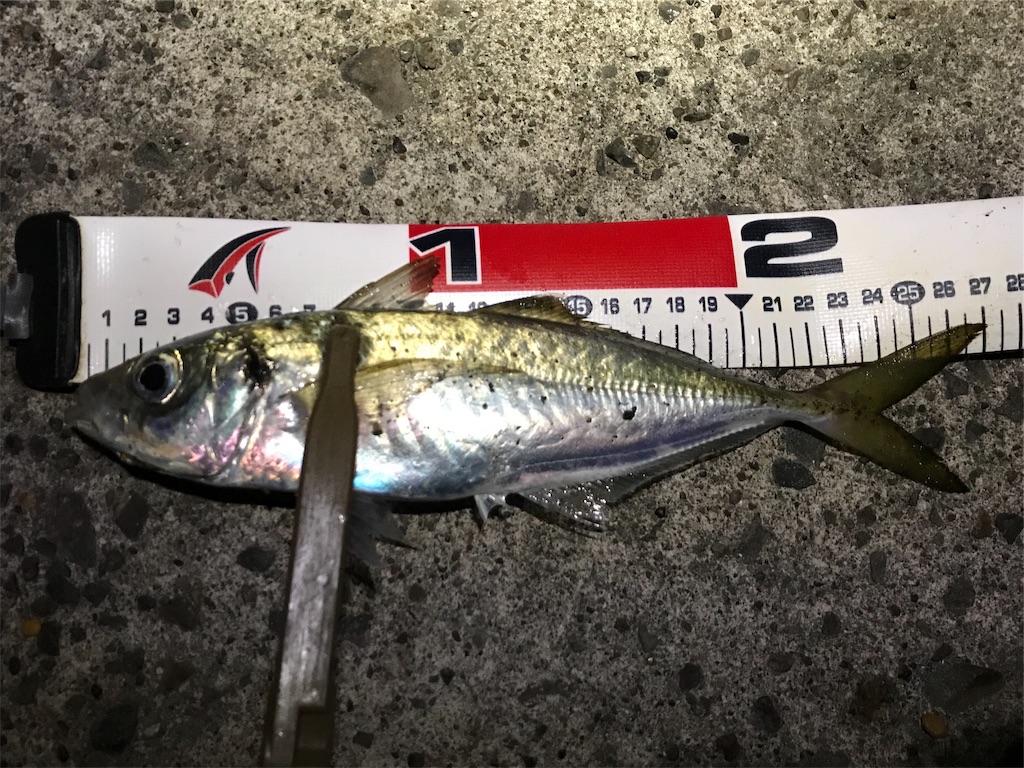 f:id:esojima3:20191201011822j:image