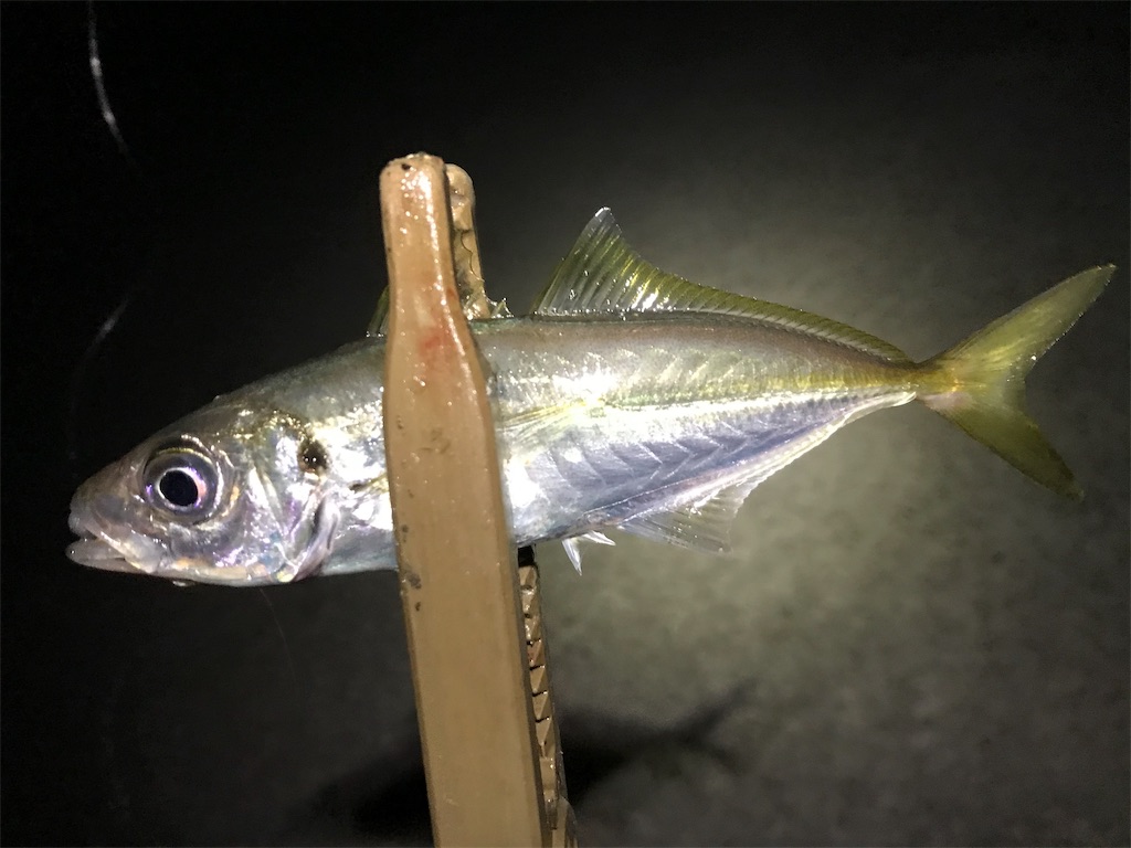 f:id:esojima3:20191201011921j:image