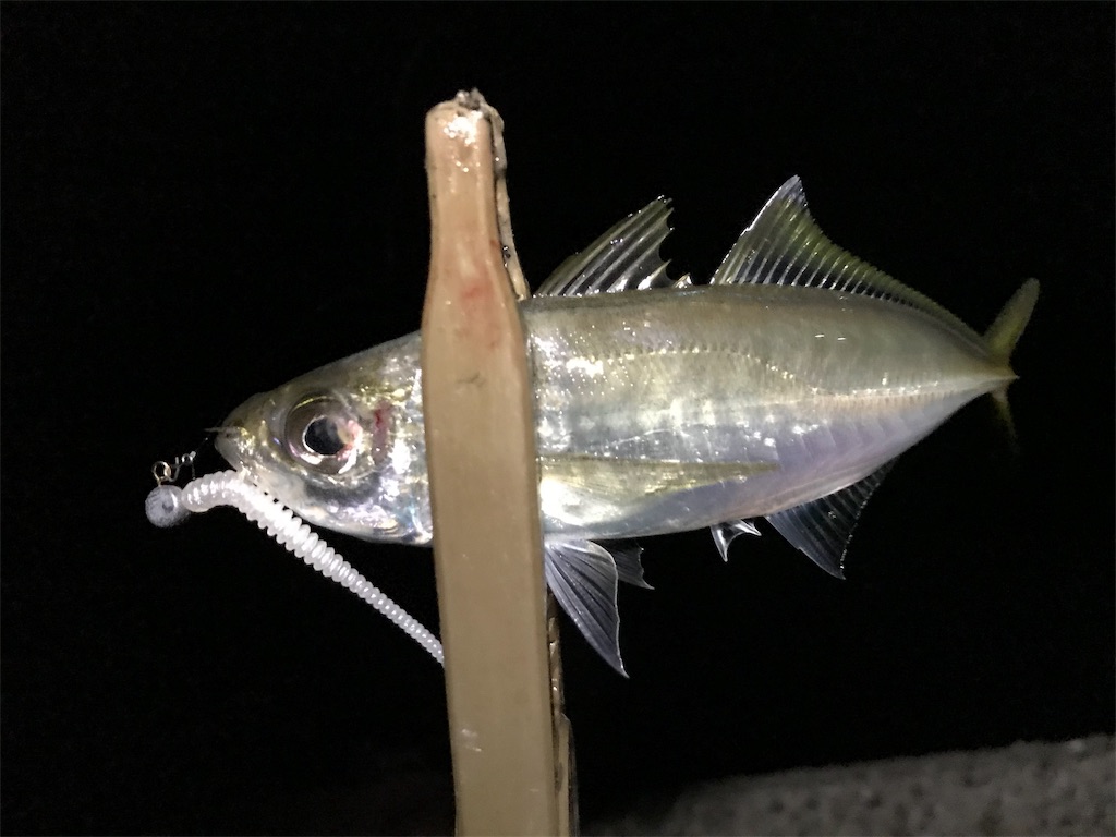 f:id:esojima3:20191201011924j:image