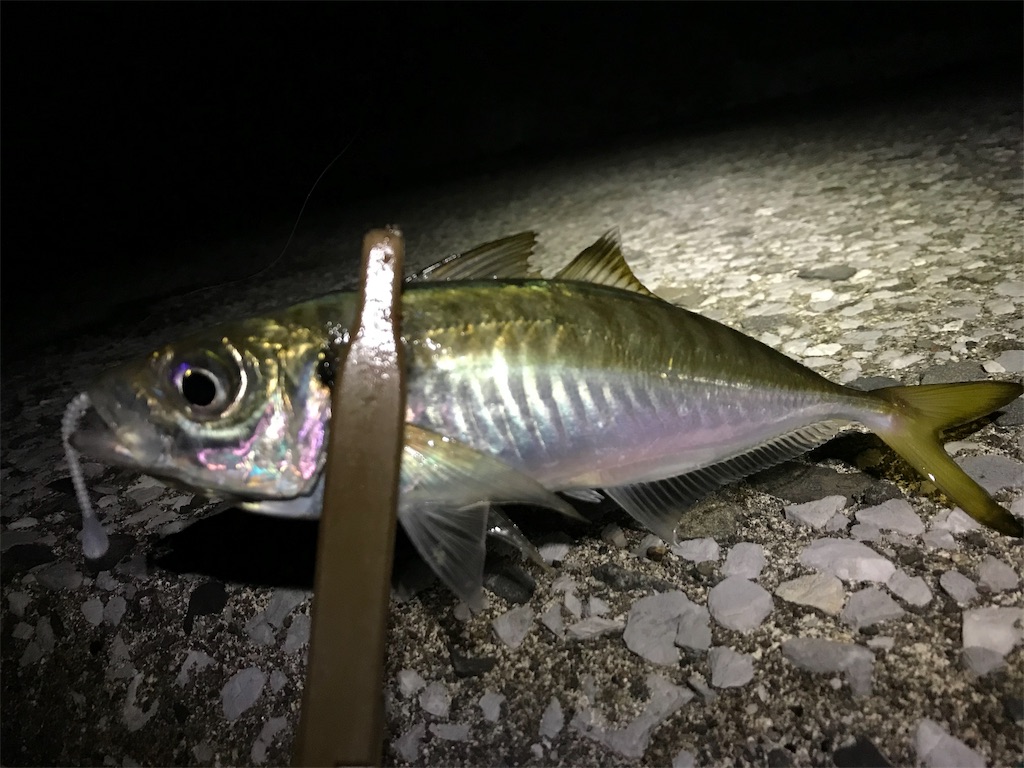 f:id:esojima3:20191201011928j:image