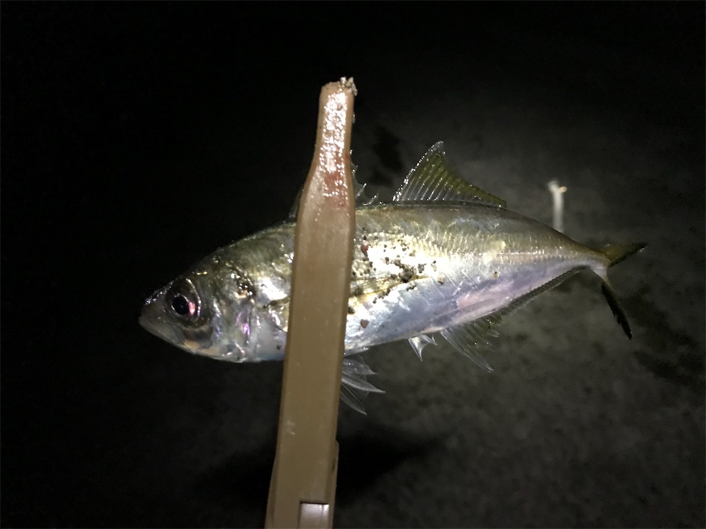 f:id:esojima3:20191201011936j:image