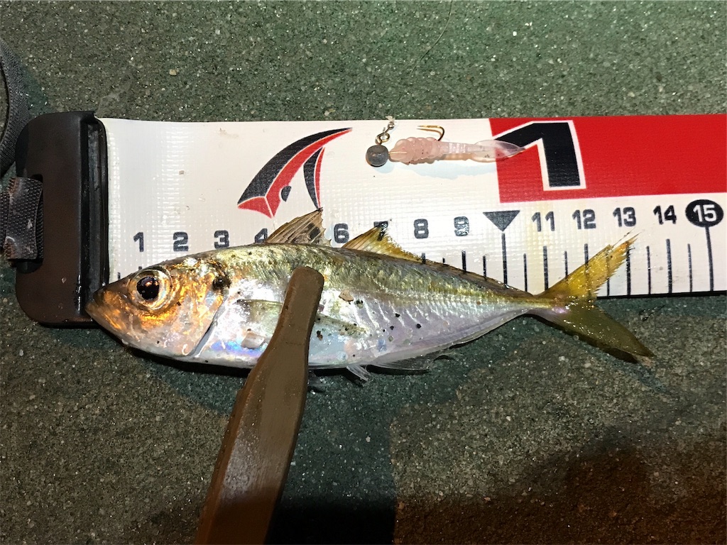f:id:esojima3:20191201221936j:image