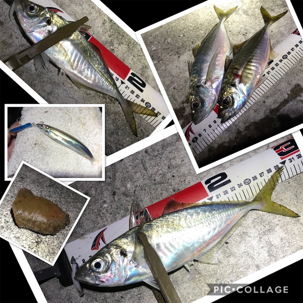 f:id:esojima3:20191202174549j:image f:id:esojima3:20191202174549j:image
