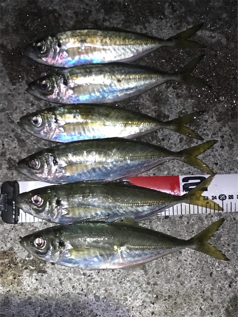 f:id:esojima3:20191202174553j:image f:id:esojima3:20191202174553j:image