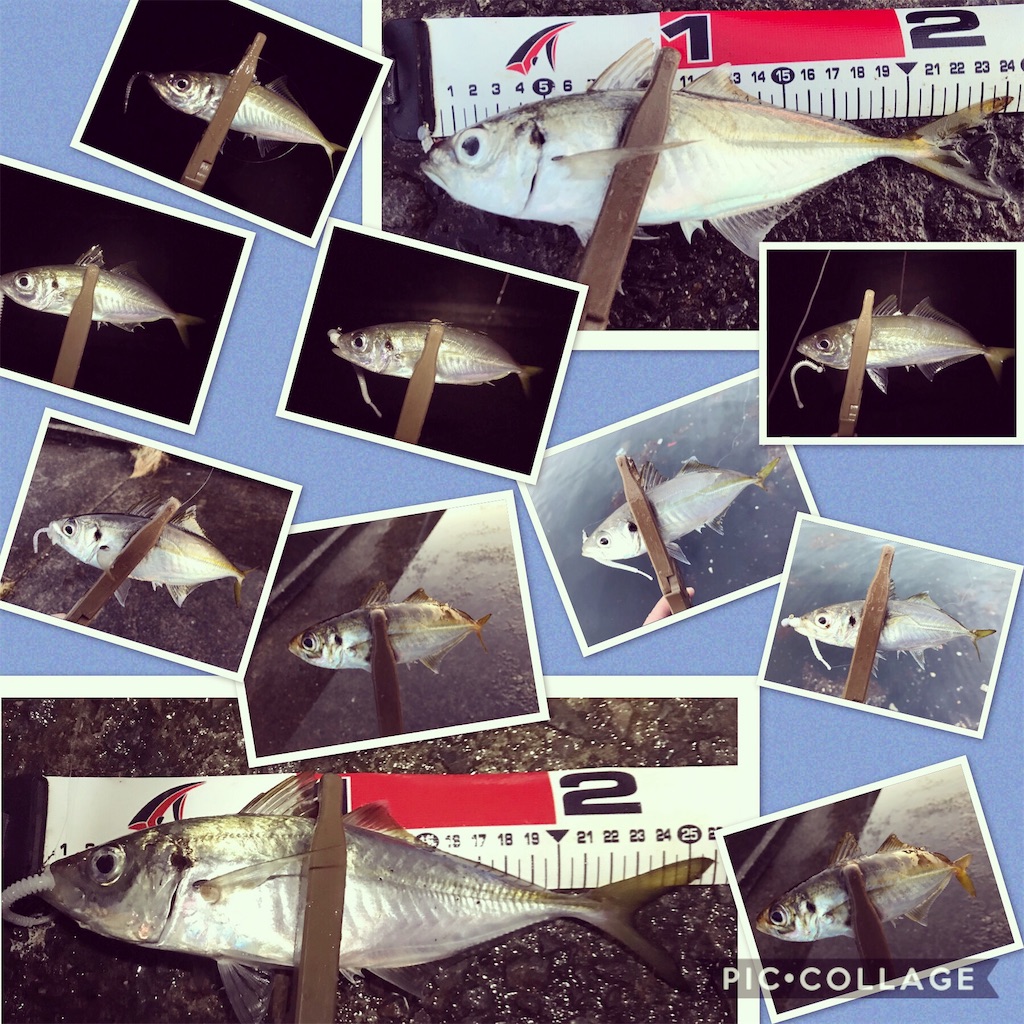 f:id:esojima3:20191202174557j:image f:id:esojima3:20191202174557j:image
