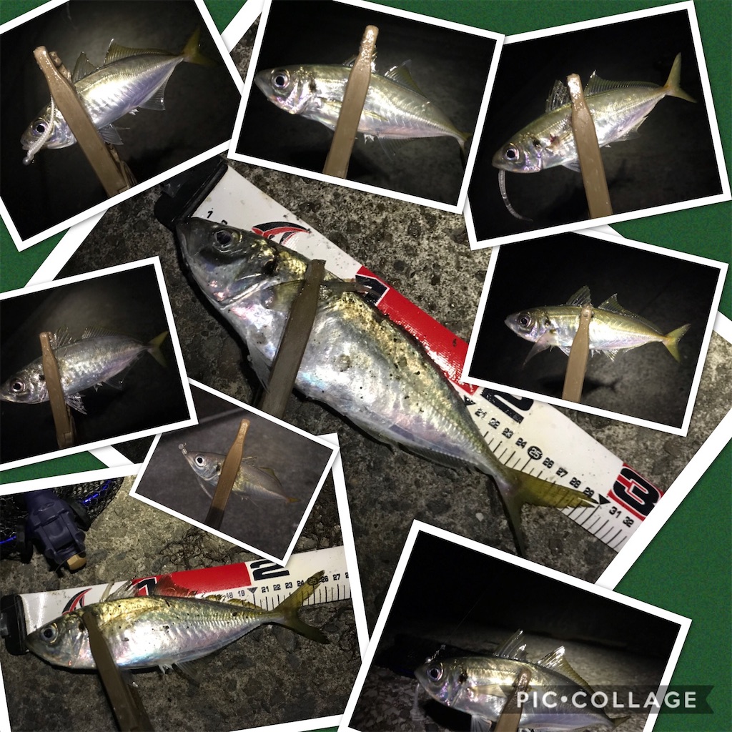 f:id:esojima3:20191202174602j:image f:id:esojima3:20191202174602j:image