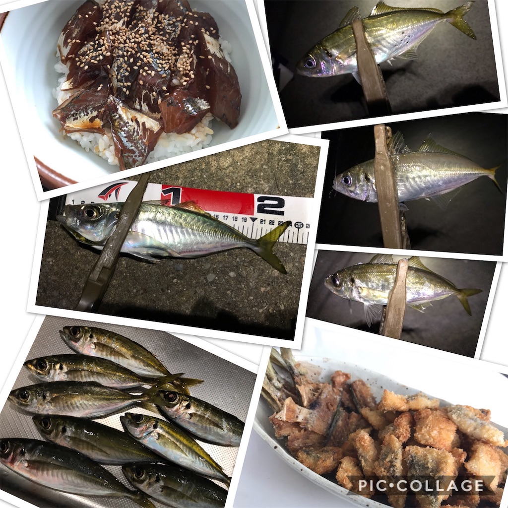 f:id:esojima3:20191202174613j:image f:id:esojima3:20191202174613j:image