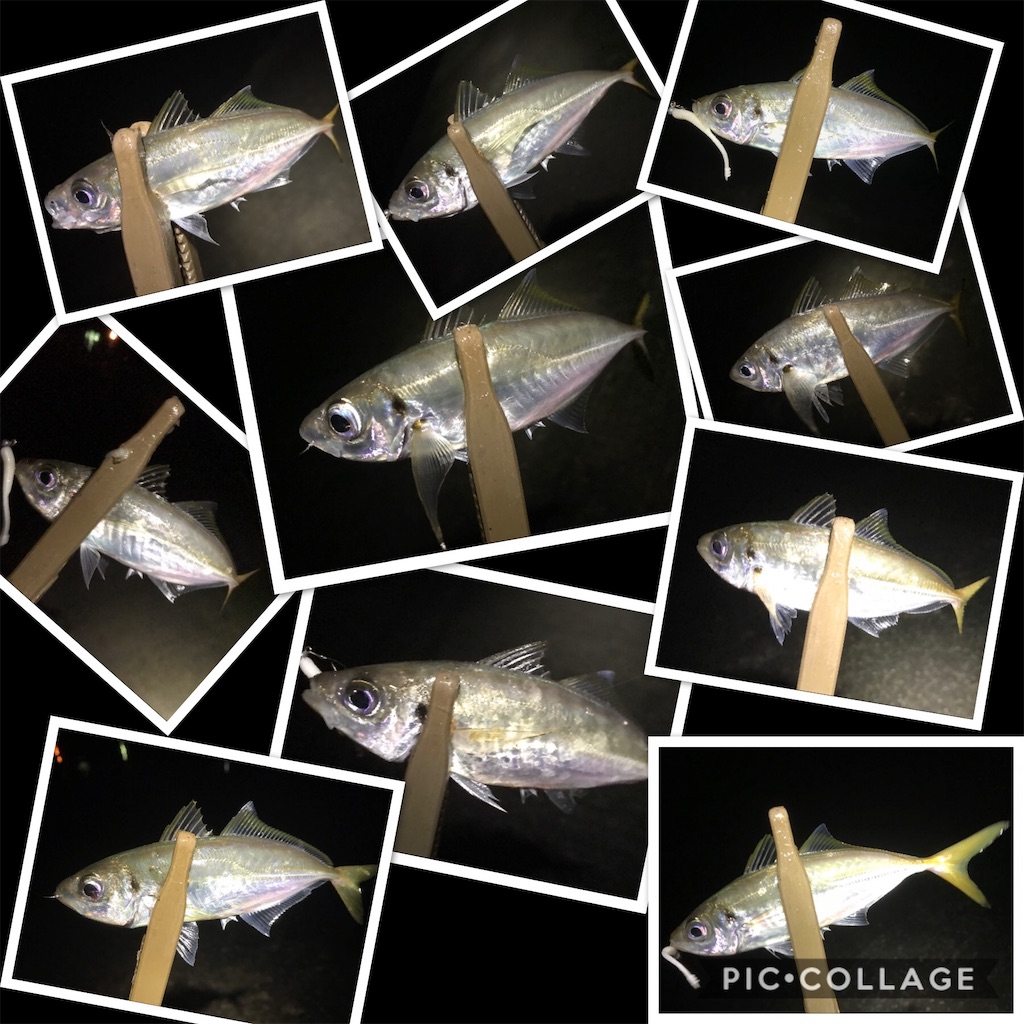 f:id:esojima3:20191202174618j:image f:id:esojima3:20191202174618j:image