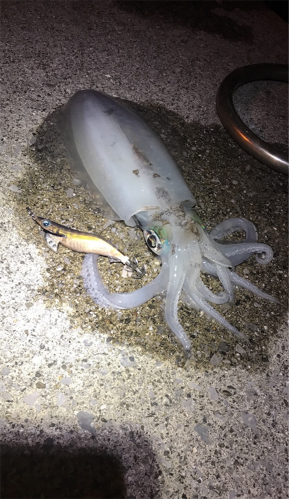 f:id:esojima3:20191202174621j:image f:id:esojima3:20191202174621j:image