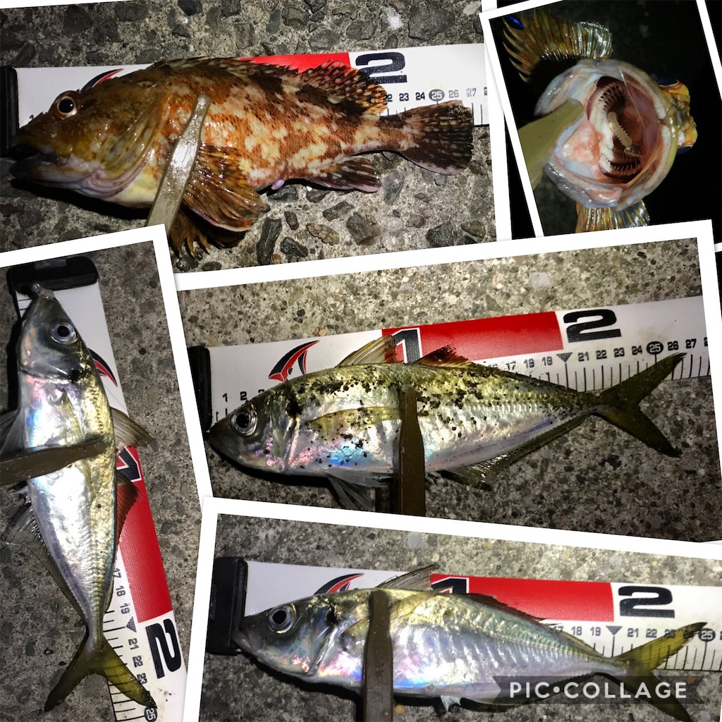 f:id:esojima3:20191202174628j:image f:id:esojima3:20191202174628j:image