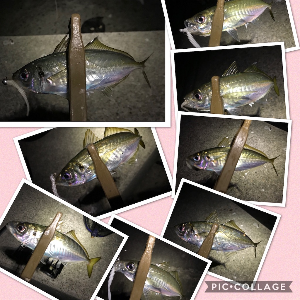 f:id:esojima3:20191202174632j:image f:id:esojima3:20191202174632j:image