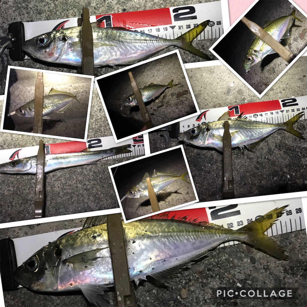 f:id:esojima3:20191202174636j:image f:id:esojima3:20191202174636j:image