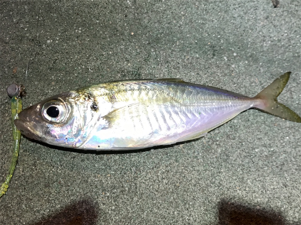 f:id:esojima3:20191202230536j:image
