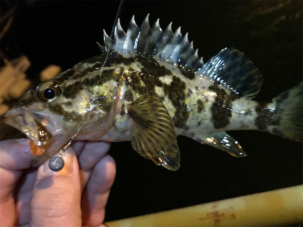 f:id:esojima3:20191202230549j:image