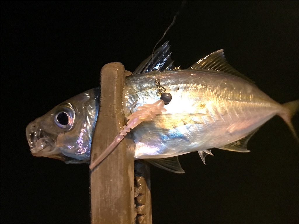 f:id:esojima3:20191202230745j:image