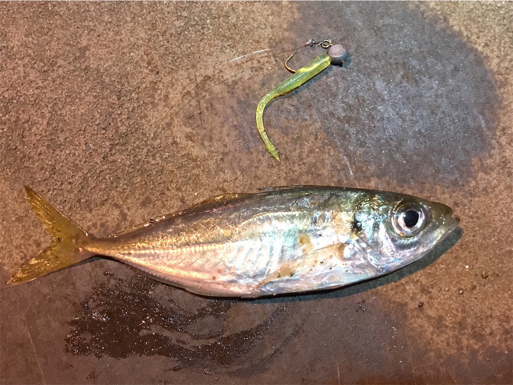 f:id:esojima3:20191202230809j:image