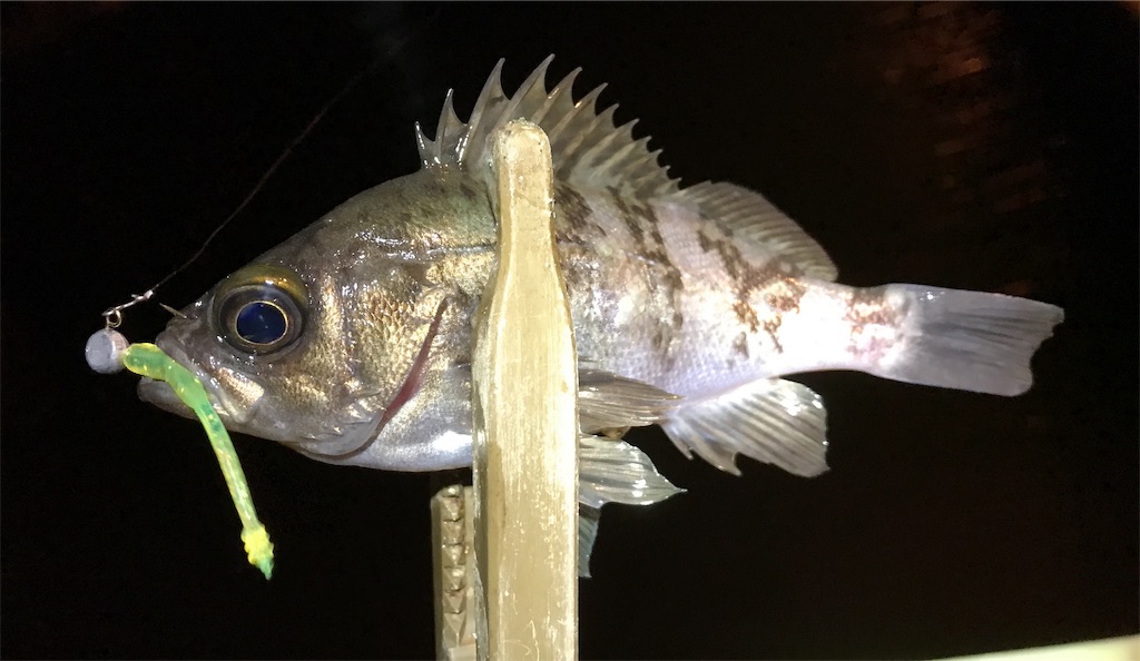 f:id:esojima3:20191202230812j:image