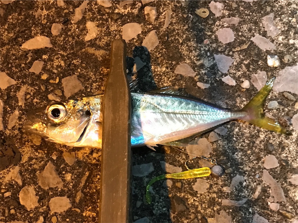 f:id:esojima3:20191202230816j:image