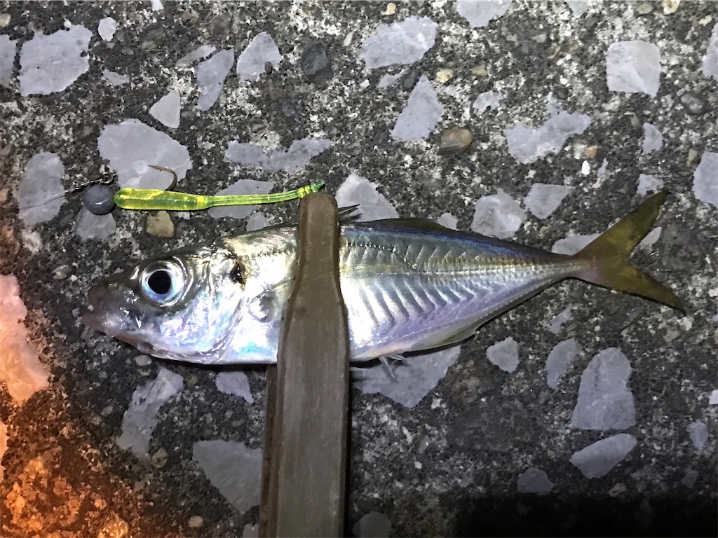 f:id:esojima3:20191202230820j:image