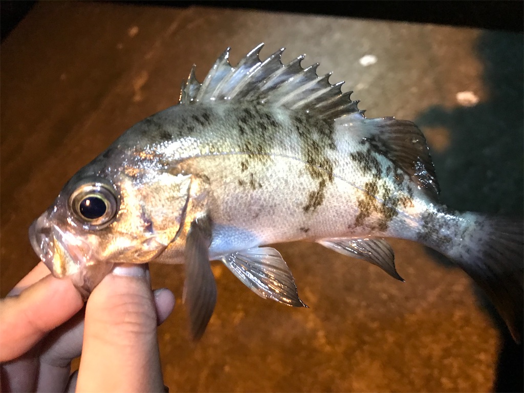 f:id:esojima3:20191203225502j:image f:id:esojima3:20191203225502j:image