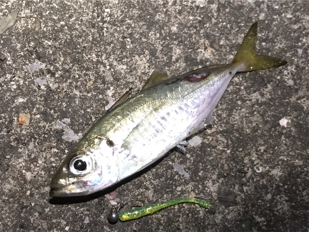 f:id:esojima3:20191205231611j:image