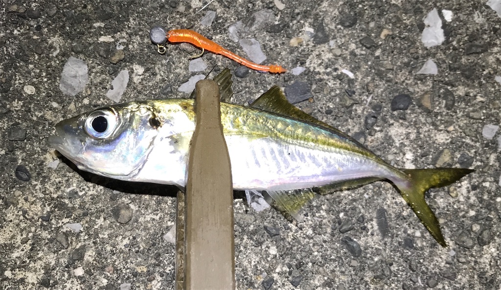 f:id:esojima3:20191206223754j:image