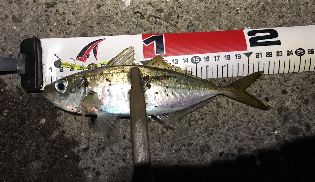 f:id:esojima3:20191206224433j:image