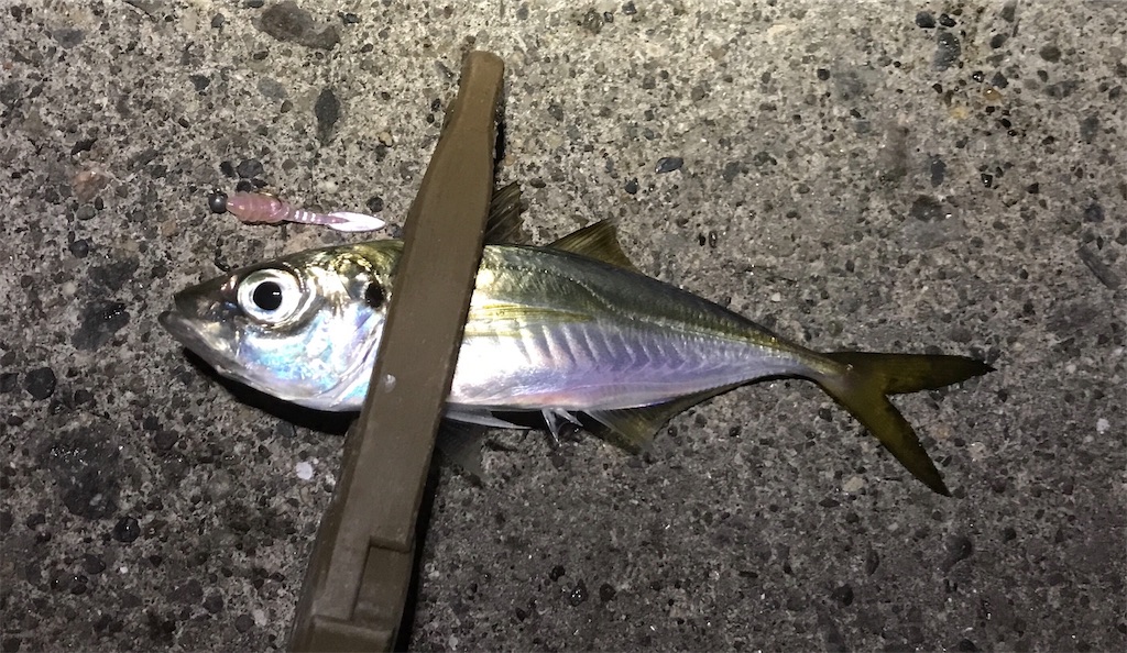 f:id:esojima3:20191206224437j:image